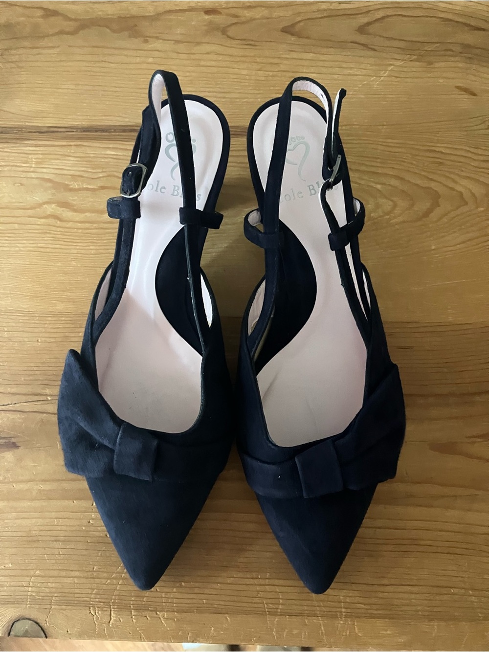 Sole Bliss Navy Bow Pointed Slingback Heels